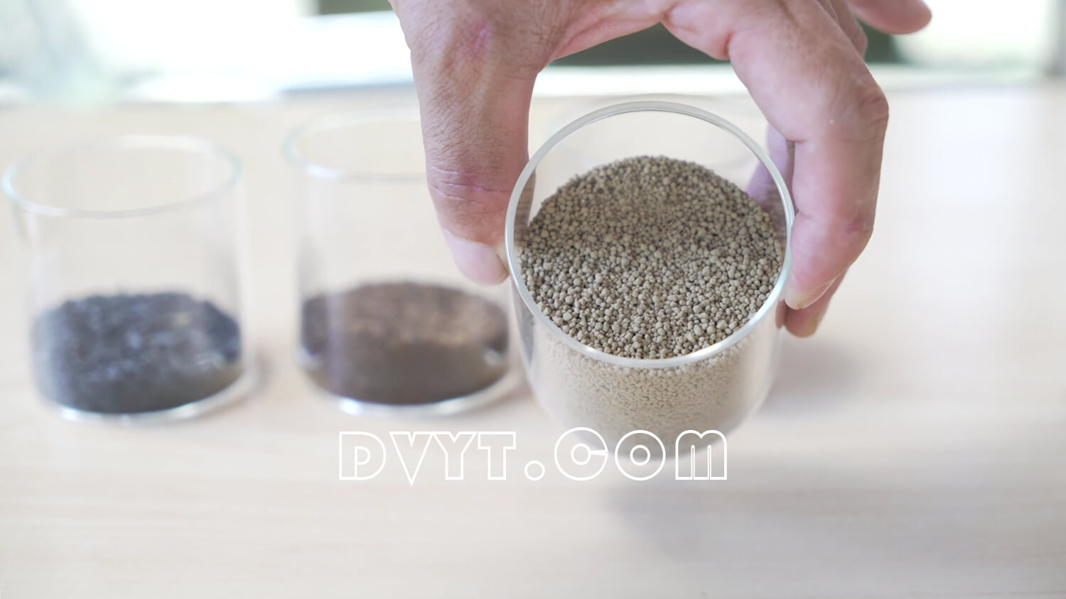 Terrarium Soil