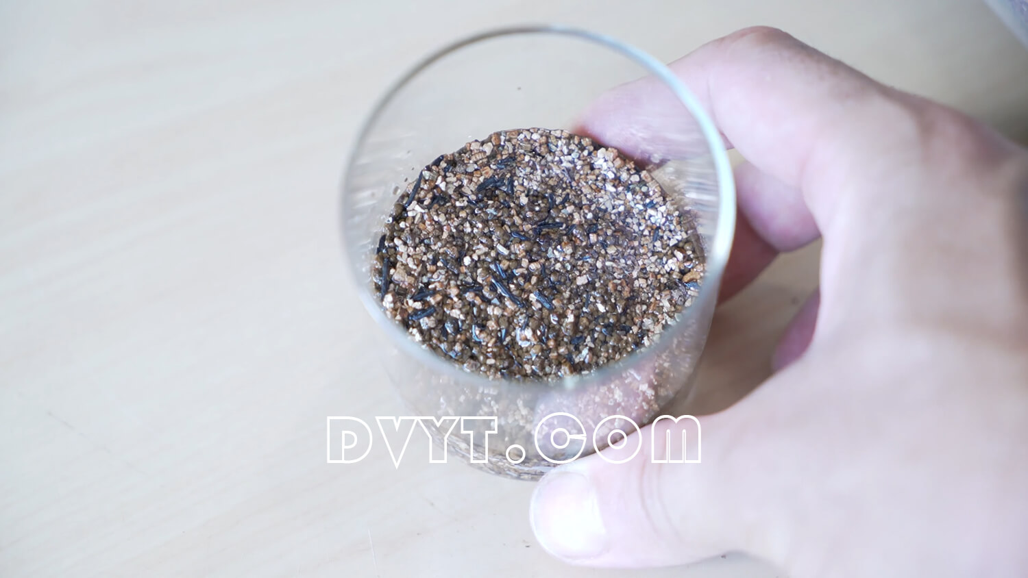 Best soil for moss in glass containers